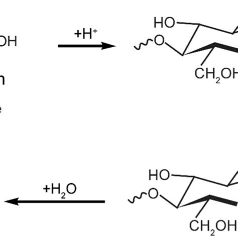 Mechanism of acid hydrolysis of cellulose (Sasmal and Mohanty 2018 ...