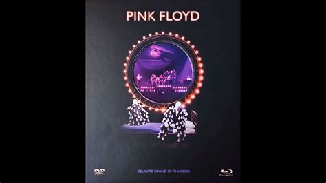 Pink Floyd Delicate Sound Of Thunder Edi O Especial De