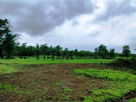 Residential Plot Land For Sale In Riverside Greens Ii Pali Raigad