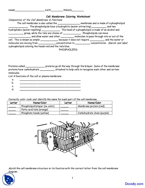 Cell Membrane Coloring Worksheet Answers