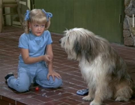 The Brady Bunch The Tattle Tale Tv Episode 1970 Imdb