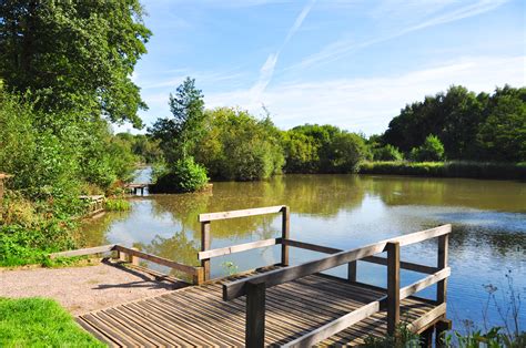 Lakeside Nature Reserve - Thames Basin Heaths