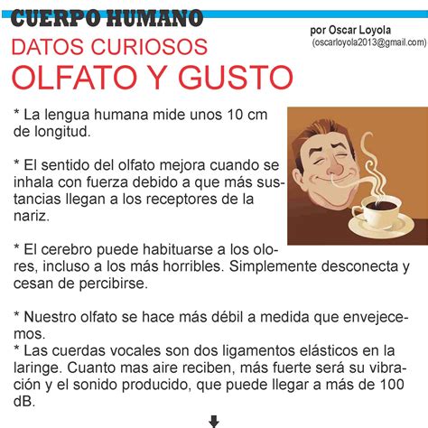 Datos Curiosos Sobre El Cuerpo Humano 400 Datos Curiosos Del Mundo Y
