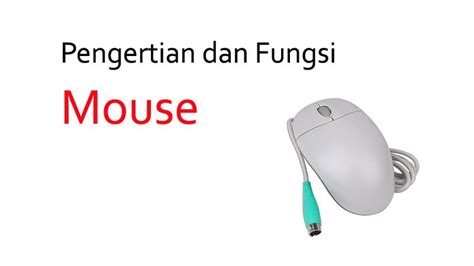 Apa Itu Mouse Berikut Pengertian Dan Fungsinya