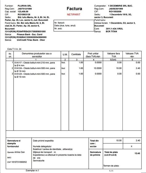Factura Client Model Factura Client Detaliat Docs Hot Sex Picture