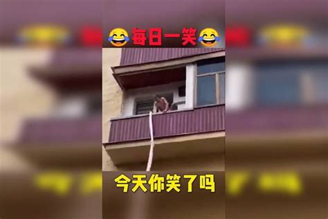 搞笑视频 每日一笑 今天你笑了吗？ 一笑 视频