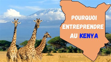 Kenya Voici Pourquoi Et Dans Quels Secteurs De Business Investir Dans