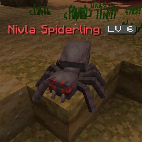 Nivla Spiderling Official Wynncraft Wiki