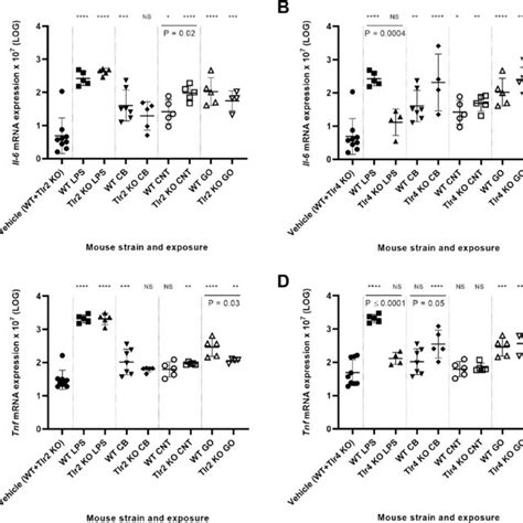 Pulmonary Mrna Expression Levels Of Il 6 In Tlr2 Ko Mice Versus Wt Mice Download Scientific