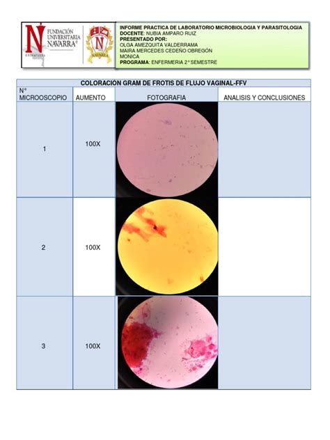 Informe Microbiologia Pdf