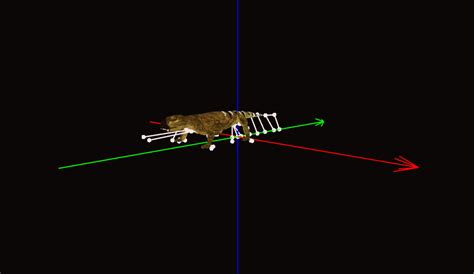 Walking With Monsters Diictodon WIP by GorgonGorgosaurus on DeviantArt