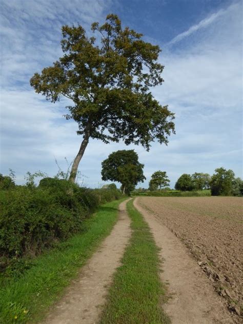 The Severn Way Near Sheepcote Farm © Philip Halling Cc By Sa20