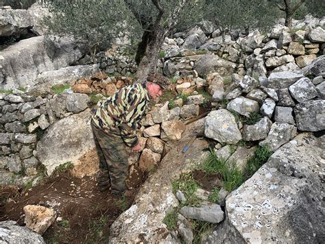 I Terrazzamenti A Secco Di Vallecorsa Benvenuti In Ciociaria In