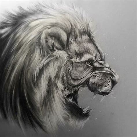 Roaring Lion Drawings In Pencil