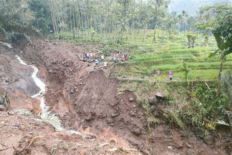 Sudah Ditimpa Banjir Dan Longsor Probolinggo Juga Diterjang Angin