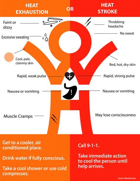 Heat Exhaustion Or Heat Stroke Know The Difference Artofit