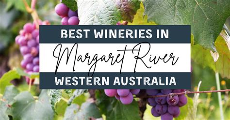 The Best Wineries In Margaret River In Search Of Sarah