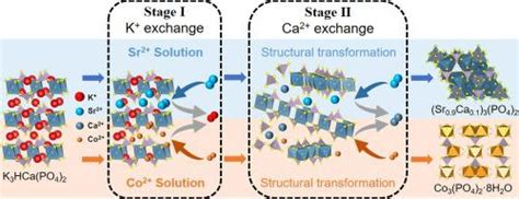 具有多种可交换阳离子的层状磷酸钙钾用于从水中去除 Srii 和 Coiiseparation And Purification
