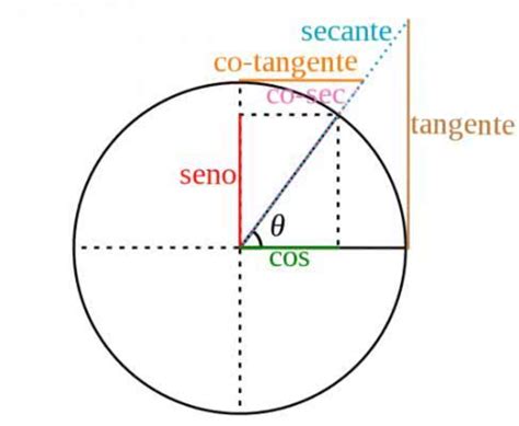 Como Funciona O Circulo Trigonométrico Matemática