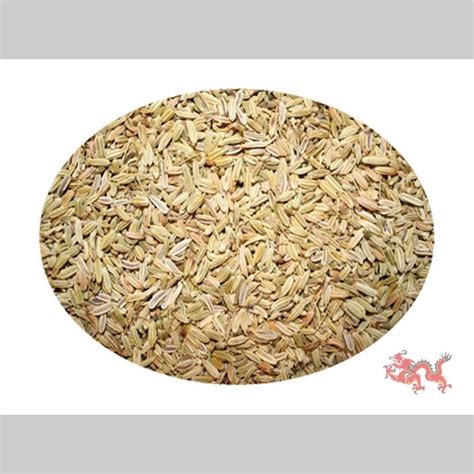 Fenchel Saat Ganz G Azx