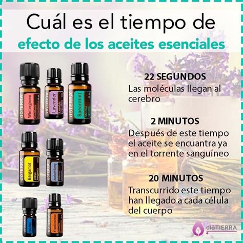 Pin De Daniela Mtz En Do Terra Gu A De Aceites Esenciales Doterra