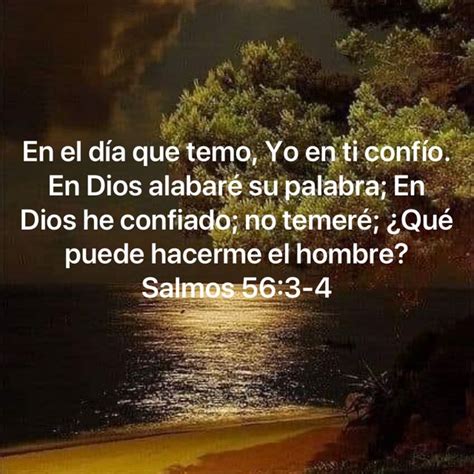 Salmos 56 3 4 En el día que temo Yo en ti confío En Dios alabaré su