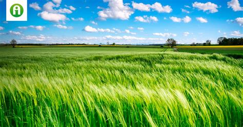 Hogyan Lehet Meghosszabb Tani A Haszonb Rletet Agroinform Hu