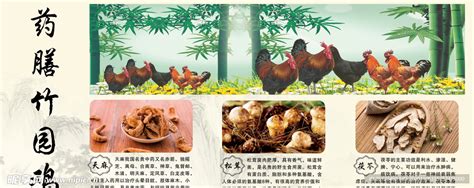 药膳美食竹园鸡设计图psd分层素材psd分层素材设计图库昵图网