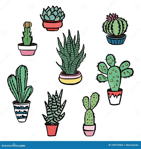 Conjunto De Cactus Dibujados A Mano Y Pegatinas De Plantas Suculentas