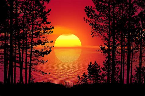 Download Sunset, Trees, Forest. Royalty-Free Stock Illustration Image ...