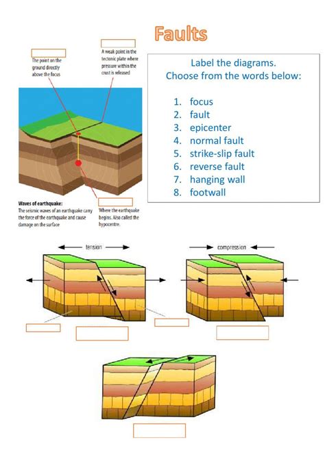 Earthquake And Faults Online Exercise For Live Worksheets Worksheets Library