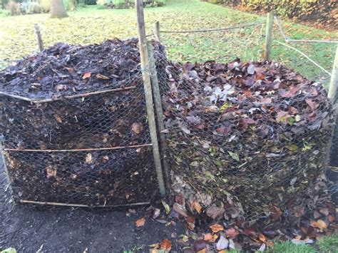 How to make leaf mould compost - Garden Ninja Ltd Garden Design