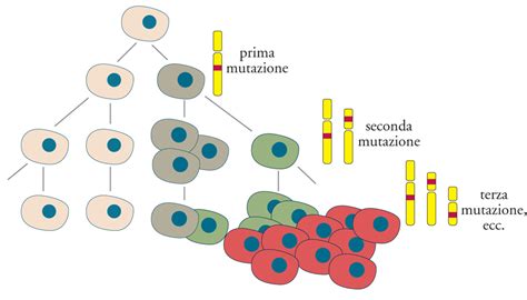 Oncogeni E Oncosoppressori In Enciclopedia Della Scienza E Della Tecnica