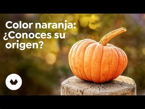 Significado Del Color Naranja En Psicolog A Desc Brelo Aqu