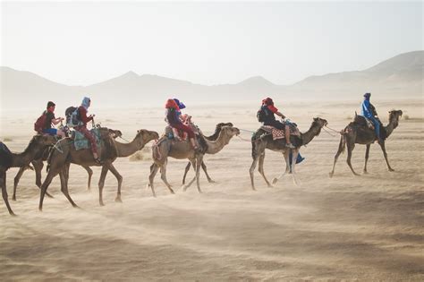 gobi-desert-camels - The Travel Bible