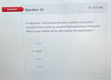 Solved Question 1600 5 PtsA Eukaryotic Cell Has Been Found Chegg