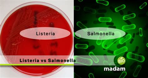 Difference Between Listeria And Salmonella Biomadam