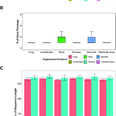 Identification Of Tctp Genes A Distribution Of Tctp Genes Across