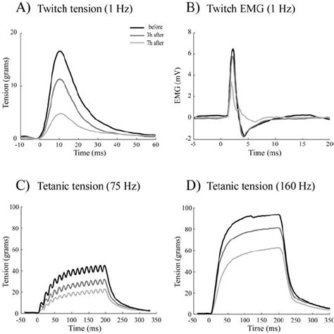 Samples Of Twitch And Tetanic Responses Of Lateral Rectus Muscle In One