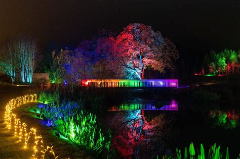 Win Four Tickets To Glow At RHS Garden Harlow Carr Your Harrogate