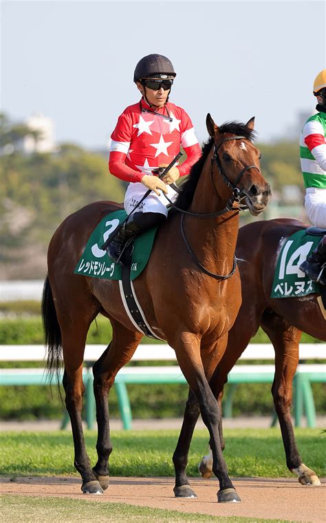 【亀井の土曜競馬コラム・京王杯スプリングc】 日刊ゲンダイ競馬