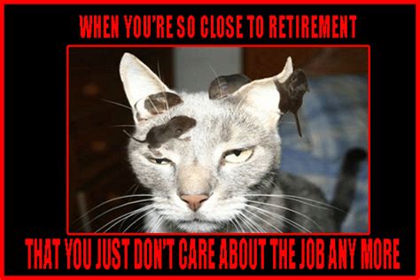 Retirement Humor Retirement Jokes For Your Farewell