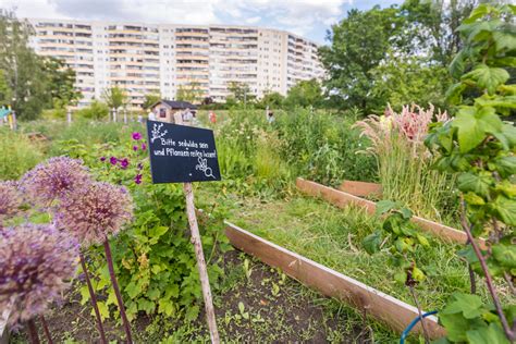 Essbare Stadt Trenntstadt Berlin De