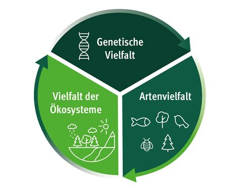 Faq Biodiversit T