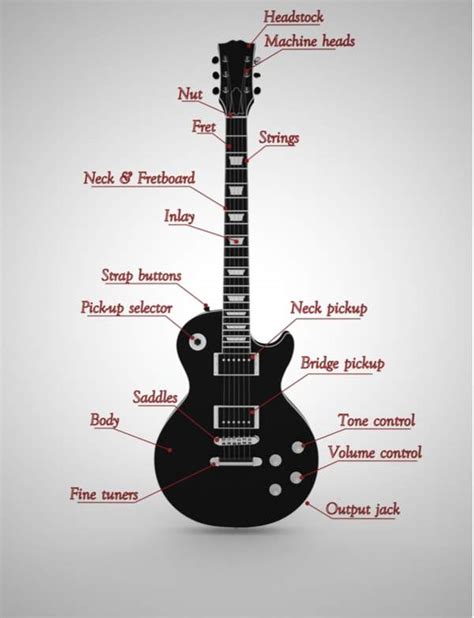 Guitar Anatomy The Parts Of A Guitar Easily Explained Music Grotto