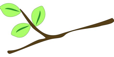 Download Branch, Leaves, Twig. Royalty-Free Vector Graphic - Pixabay