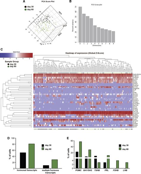 Temporal Single Cell Qrt Pcr Analysis Of Anterior Pituitary Development