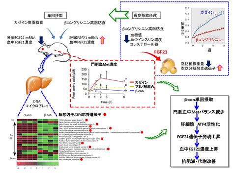 研究結果 東京大学大学院農学生命科学研究科 応用生命化学専攻／応用生命工学専攻