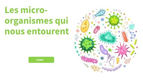 A la découverte des microorganismes