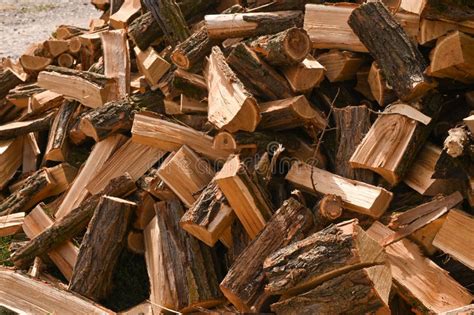 Ecological Fuel Made Of Natural Wood Stock Image Image Of Resource